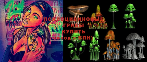 гашик Балахна