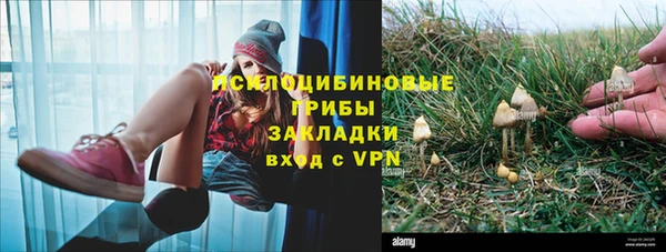 винт Аркадак